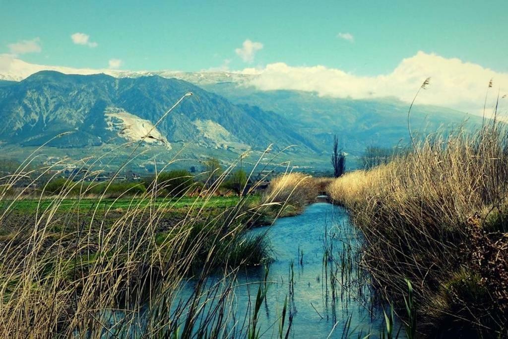 Cortijo De Los Geraneos Padul Екстериор снимка